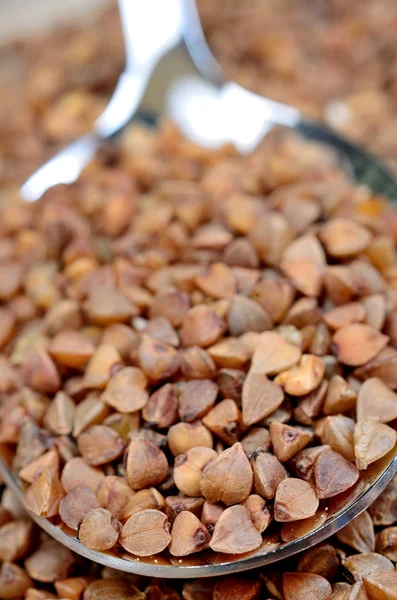 Brown buckwheat dalam sendok — Stok Foto