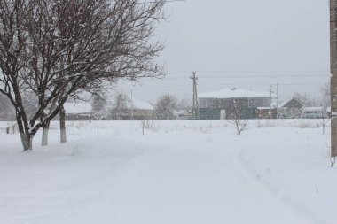 Beyaz kar her şeyi kapladı