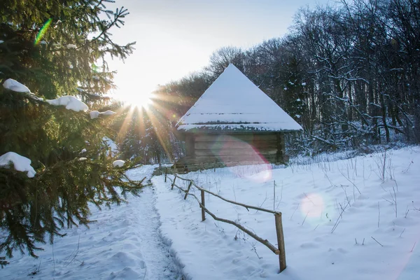 Ulusal Mimarlık ve yaşam Pirogovo Müzesi'nde ahşap evler