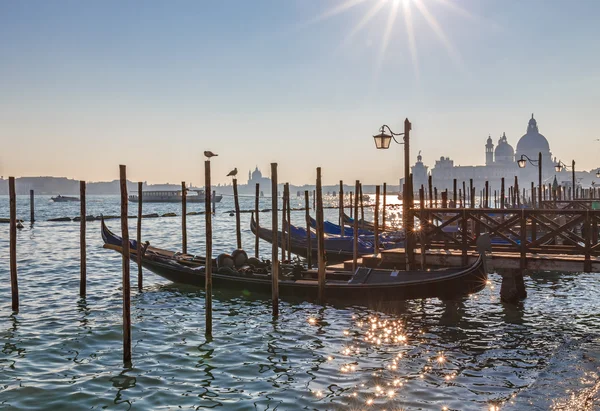 Venecia al atardecer. Góndolas al atardecer con cúpula de Santa Maria della salute — Foto de Stock