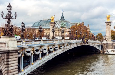 Alexander III Köprüsü Seine nehrinde. Paris
