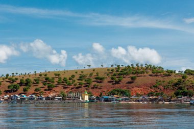 Padar adasında küçük ağaçlarla kaplı bir tepe.