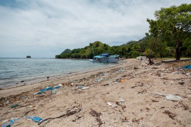 Komodo adasındaki kirli plaj.