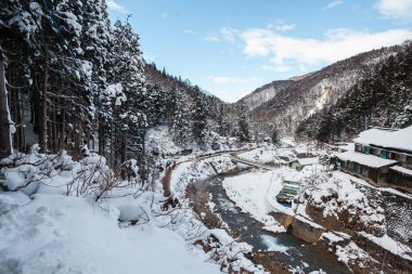 Jigokudani Kar Maymunu Parkı 'na giden yol.