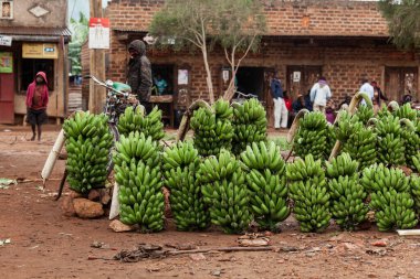 Uganda 'da yerel bir markette bir sürü Matooke muz tezgahı var.