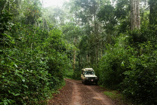 Uganda 'daki Kibale Ulusal Parkı' nda çamurlu yolda park etmiş bir cip.