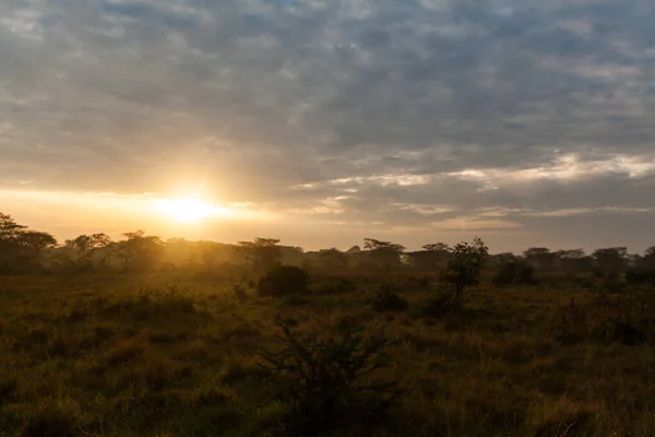Закат над африканской саванной. Национальный парк Королевы Елизаветы — стоковое фото