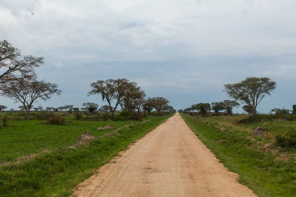 Вид на грязную дорогу в окружении саванны в Национальном парке Королевы Елизаветы, Уганда — стоковое фото