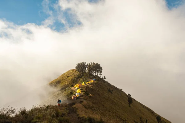 Rinjani Dağı 'nın tepesinde renkli çadırlar, Lombok, Endonezya