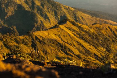 Çadırlar dağın tepesinde. Rinjani Dağı 'na Trek, Lombok, Endonezya