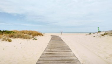 Armona Adası Sahil Hattı