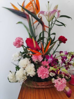 Güzel, renkli çiçekler, beyaz arka planda izole edilmiş..