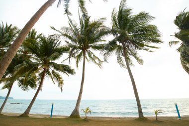 Tayland güzel deniz manzarası