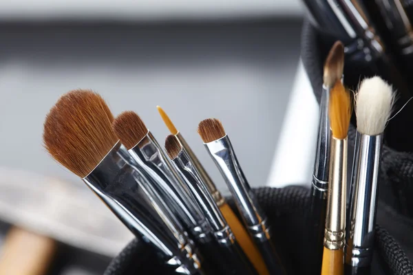 Borstels voor professionele make-up — Stockfoto