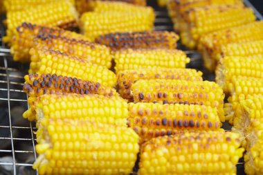 Izgarada Mısır kulakları