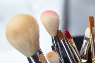 Profesyonel makyaj fırçaları