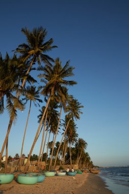 Vietnam palmiye ağaçları ile manzara