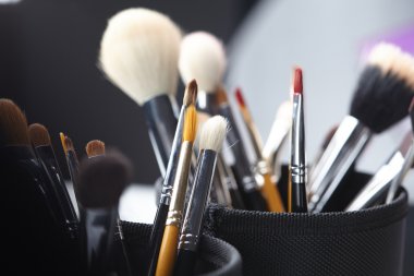 Profesyonel makyaj fırçaları