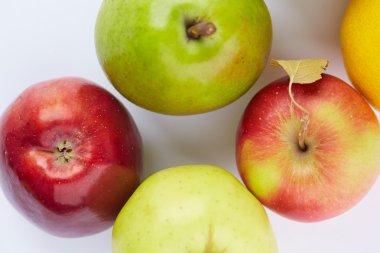 Olgunlaşmış meyve 