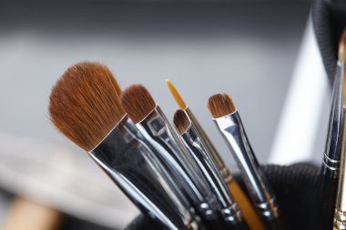 Profesyonel makyaj fırçaları