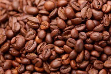 Kahve çekirdekleri yakın plan.