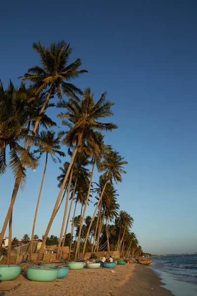 Krajina s palmami ve Vietnamu — Stock fotografie