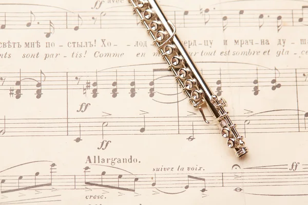 Flute on musical notes background Royalty Free Stock Images