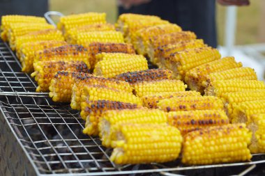 Izgarada Mısır kulakları