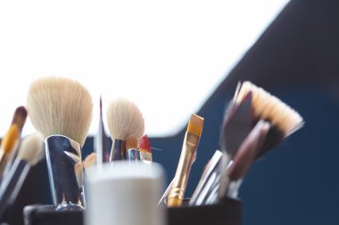 Profesyonel makyaj fırçaları