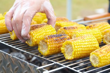 Izgarada Mısır kulakları 