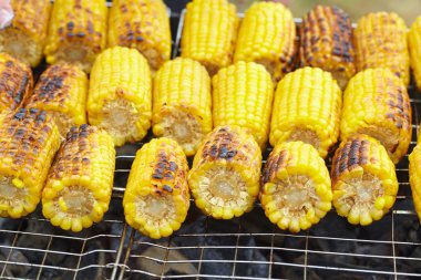 Izgarada Mısır kulakları