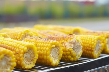 Izgarada Mısır kulakları