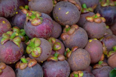 Taze olgun mangosteen Tayland