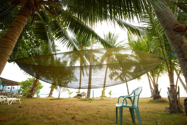 Hamaca bajo palmeras en Tailandia — Foto de Stock