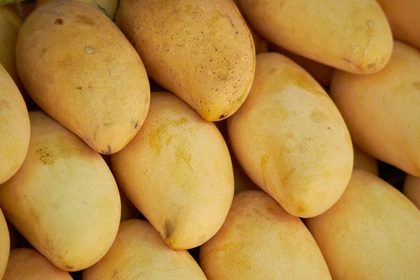 Yellow mango in Thailand — Stock Photo, Image