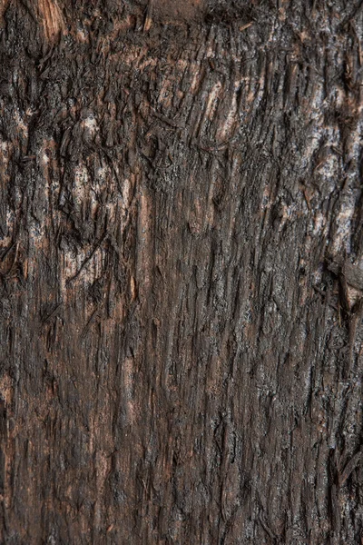 Dark wooden board texture — Stock Photo, Image