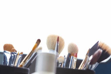 Profesyonel makyaj fırçaları