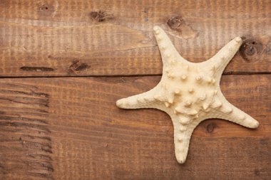 Deniz yıldızı bir ahşap yüzeye