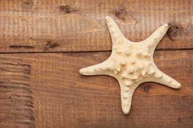 kabuk ahşap yüzeye