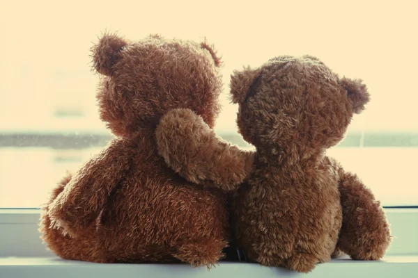 İki oyuncak ayılar arka oturma — Stok fotoğraf