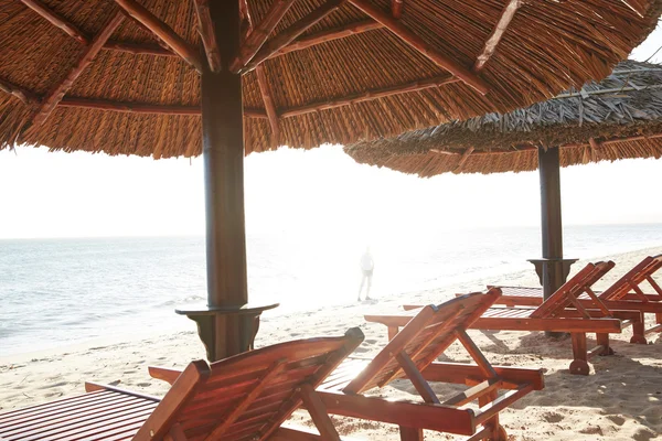 Liegestühle unter einem Sonnenschirm am Strand — Stockfoto