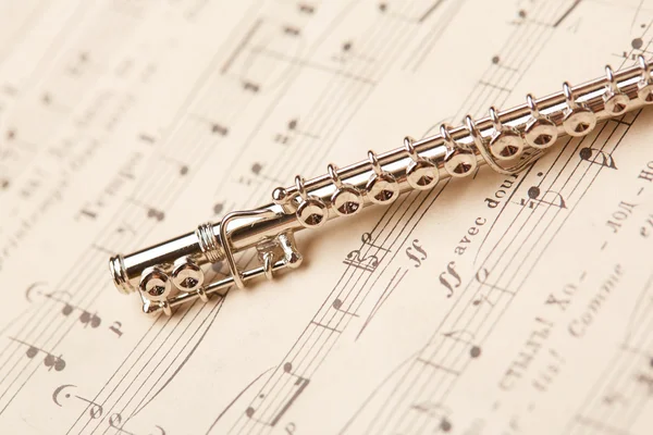 Flute on musical notes background