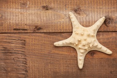 Seashell vintage ahşap tablo 