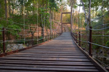 nehir orman üzerinde köprü