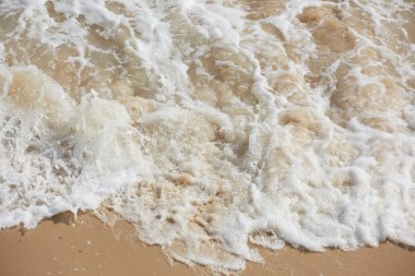 Tropikal okyanus plaj dalgalar ile