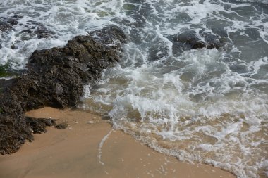 Kayalık okyanus plaj dalgalar ile