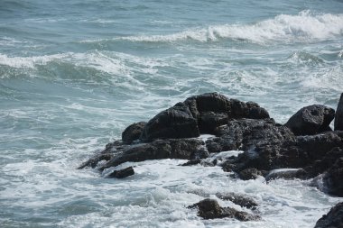 Kayalık okyanus plaj dalgalar ile
