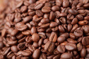 Taze kavrulmuş kahve çekirdeği.