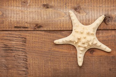 Seashell vintage ahşap tablo