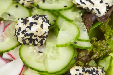 Vejetaryen vegan sebze yemek 